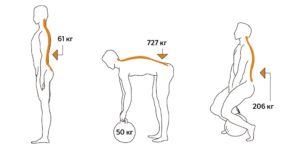Визуализация нагрузки на позвоночник в разных положениях