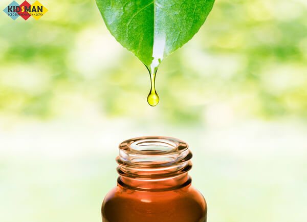 Боровая матка