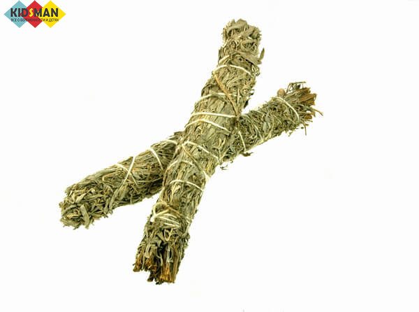 Боровая матка