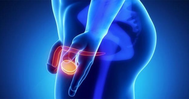 Что делать когда болят яички и низ живота