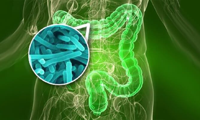 Дисбактериоз кишечника после антибиотиков 6