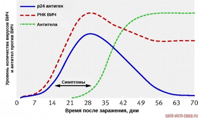 'График. Динамика появления маркеров ВИЧ,