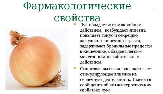 Лук при гастрите: можно ли есть, влияние на желудок