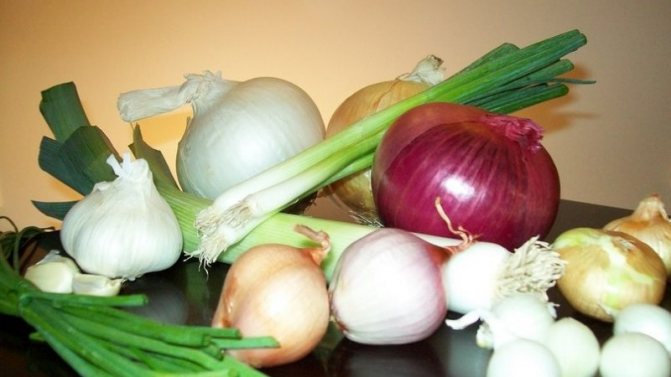 Можно ли есть лук при гастрите с повышенной или пониженной кислотностью