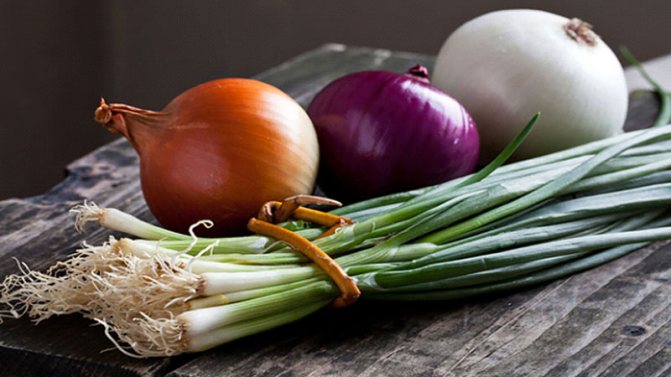 Можно ли есть лук при гастрите с повышенной или пониженной кислотностью