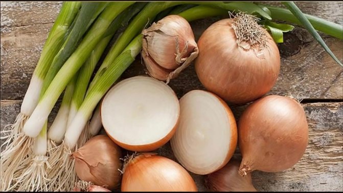 Можно ли есть лук при гастрите с повышенной или пониженной кислотностью