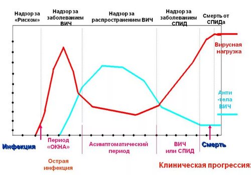 патогенез развития