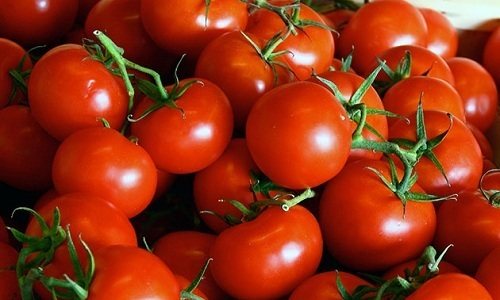 Помидоры при панкреатите способны оказать как положительное, так и отрицательное влияние на поджелудочную железу