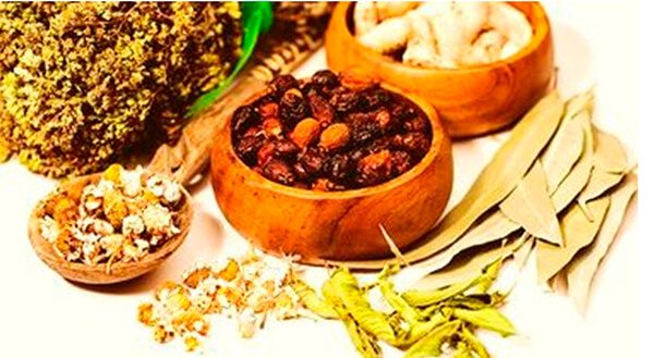 Сухие травы, плоды и корневища