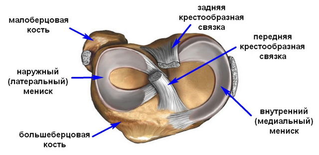 Травма колена, мениска: симптомы, признаки, лечение