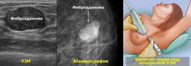 виды диагностики